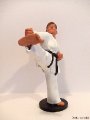 Karate 1105